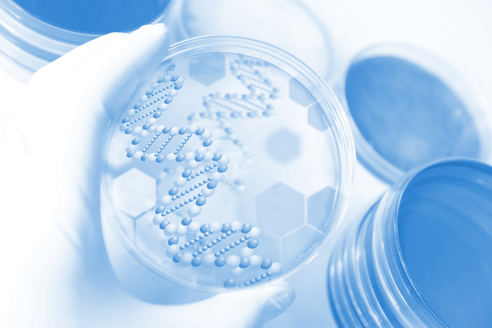 再発を防ぐ「原因療法」